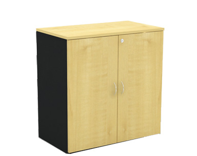Swing Door Cabinet (Low)